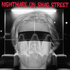 Nightmare on Shag Street 3