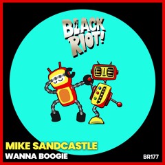 Black Riot 177 Mike Sandcastle - Wanna Boogie (teaser)