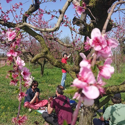 ECHANGE ET REGARD - 2024 03 21 - SPECIALE PRINTEMPS