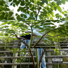 Habitat (prod.kivya)