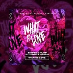 Snipes & Murf Ft Darryl Gracie - What Is Love