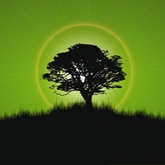 Classic Platipus Records Trance: Twilight Mix