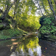 emus rimse - sword dance