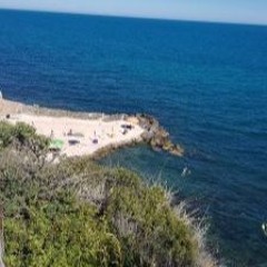 TribeCore Sound System D