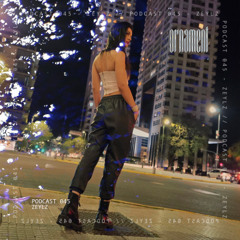 Ørnament Podcast 045 - Zeylz