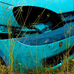 What I Want From You