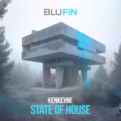 State Of House - Kenkeyne (extended Instrumental)