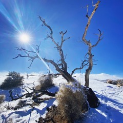 Empty Promises feat. Joshua Solaire (Demo)