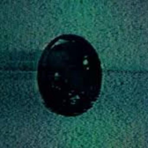 skinny no ribs and tha kid