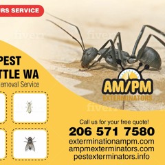little black ants exterminators extermination.wav