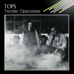 TOPS Theme