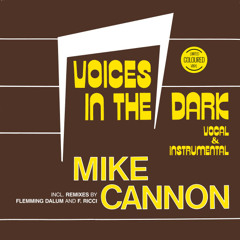 Mike Cannon - Voices in the Dark (The Ri-Mix)