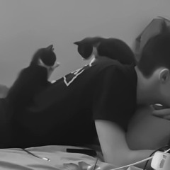 خلاص يعني ؟