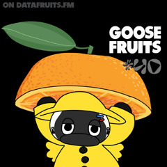 Goose Fruits 40: Guest Mix STAR JAXX 5-3-2025