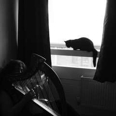 Contemplation