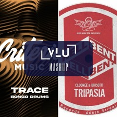 Bongo Drums (Vlu Tripasia Edit) - Trace, Cloonee