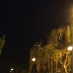 Walking In The Night