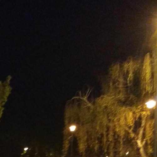Walking In The Night
