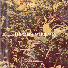 wish there was a way