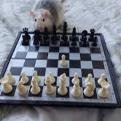 Chess/Rat Type Beat