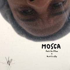 mosca.mp3