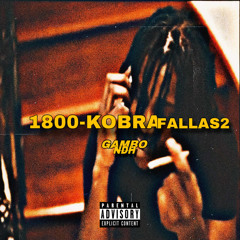 gambino +1-800-KOBRA-FALLAS2 (floss)