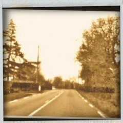 The wildwood flower Carter's family's cover