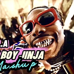 Cityboy Jinja Remix Mashup - Dj O.L.A