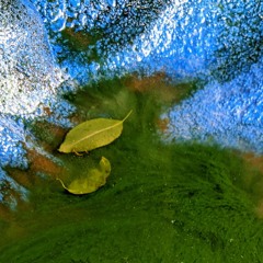 05072020