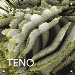 MNMT 495 : TENO