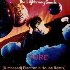 Pure - Lightning Seeds (Electronic House Remix)