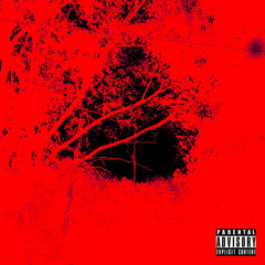 Who Is You? (Prod. Scrappy Dog)