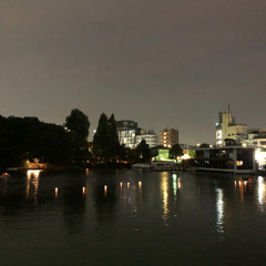 night_night_20241103