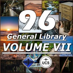 Sample - 96 General Library (Volume VII)