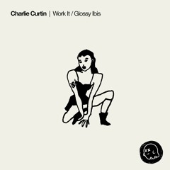Charlie Curtin - Glossy Ibis