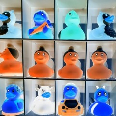 Elisabeth Selbert - men and women r created equal!