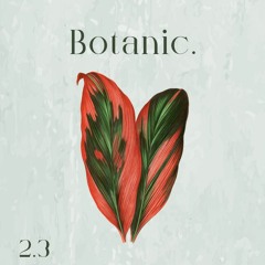 Botanic Sprout - 2.3 - Ana Possamai