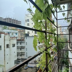 Hariye Giyechi - Arnob