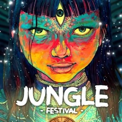 4d @ Jungle Festival (Pt 3)