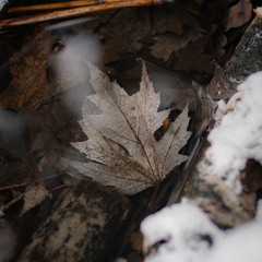 Winter [Four Seasons]