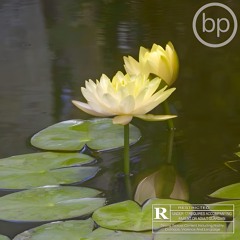 SOME BEATS FOR SALE pt. 8