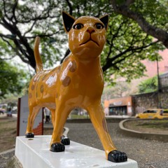 Gata Coqueta