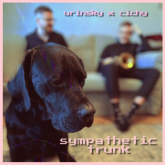 Sympathetic Trunk (feat. Dominik Cichy)