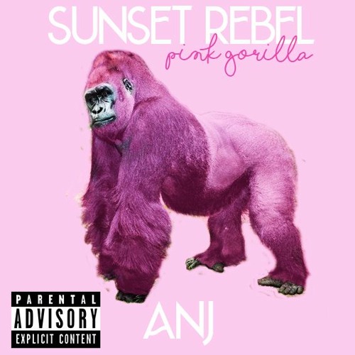 Pink Gorilla Ft Anj [Free Download]
