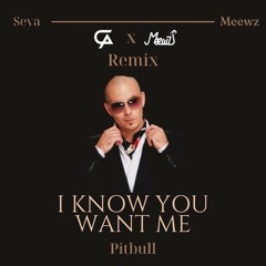 Pitbull - I Know You Want Me (SEYA x Meewz Remix)