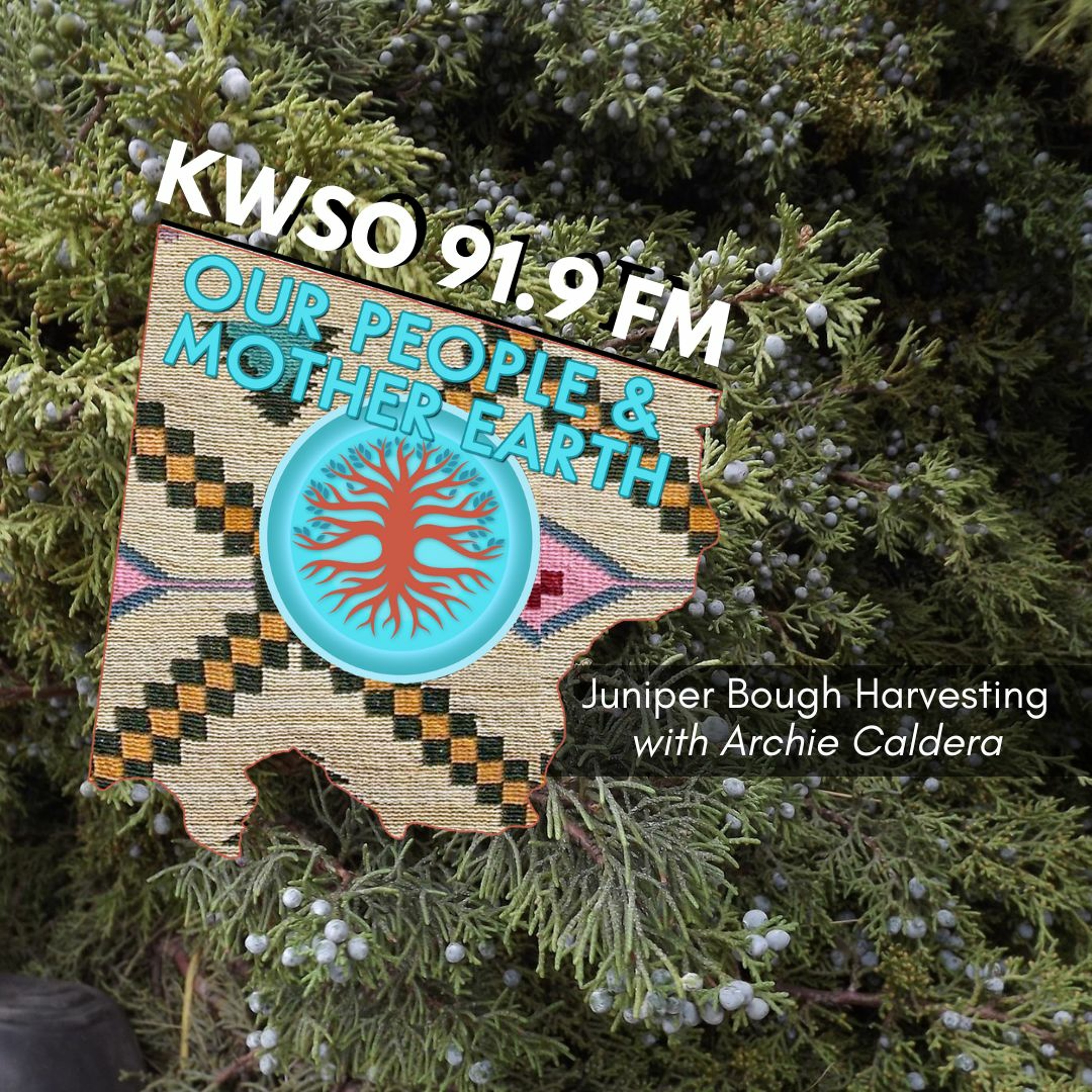 Juniper Bough Harvesting w/Archie Caldera - KWSO Our People & Mother Earth Podcast episode artwork