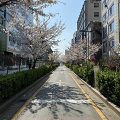 바른 교훈 - 시편 1편 (feat. 주성윤)