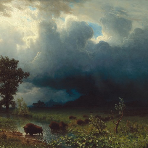 Storms