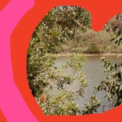 Dj Seductions love transmissions mix