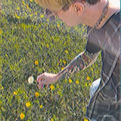 lie (prod. lil thorn)